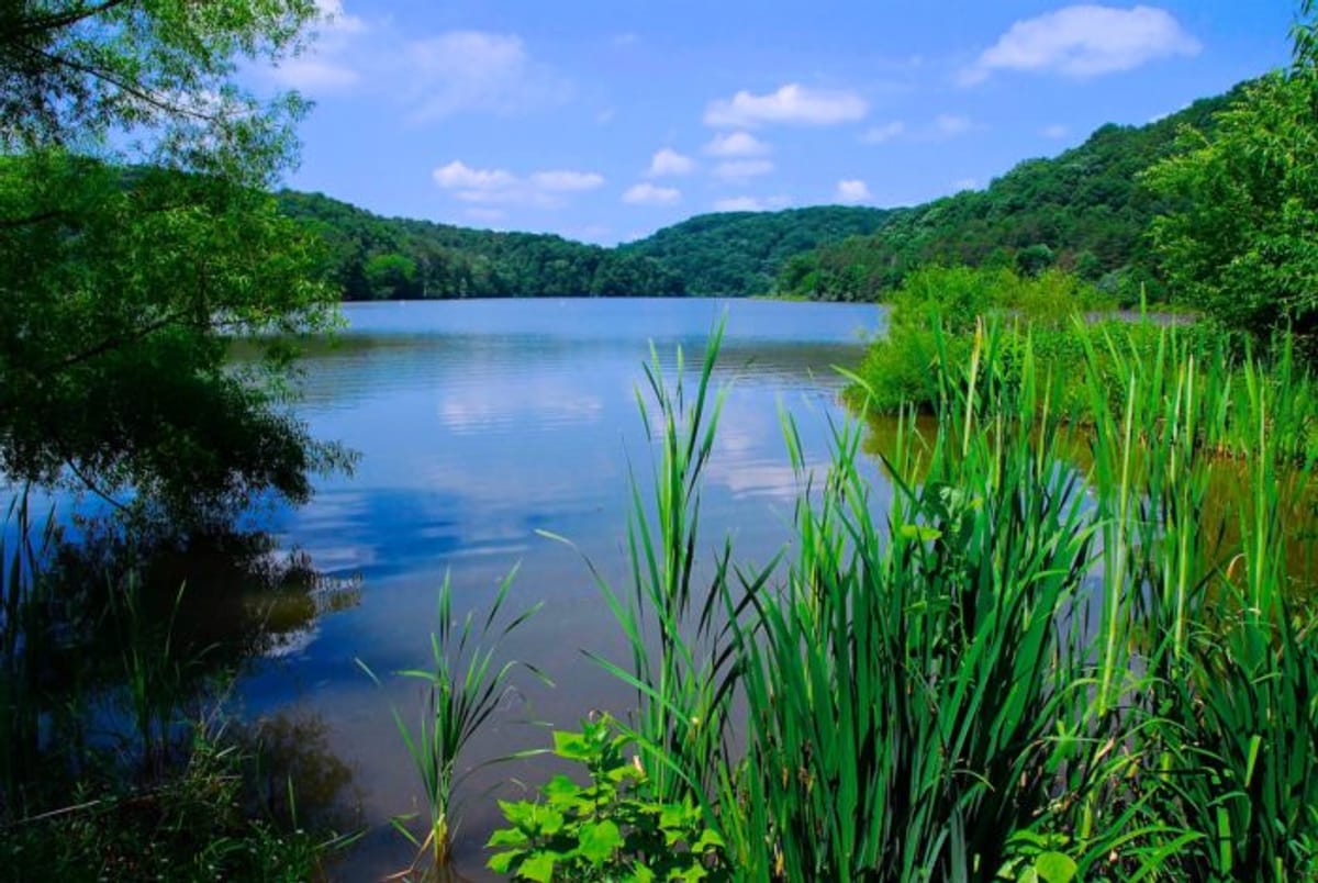 Berkeley Springs State Park photo 5