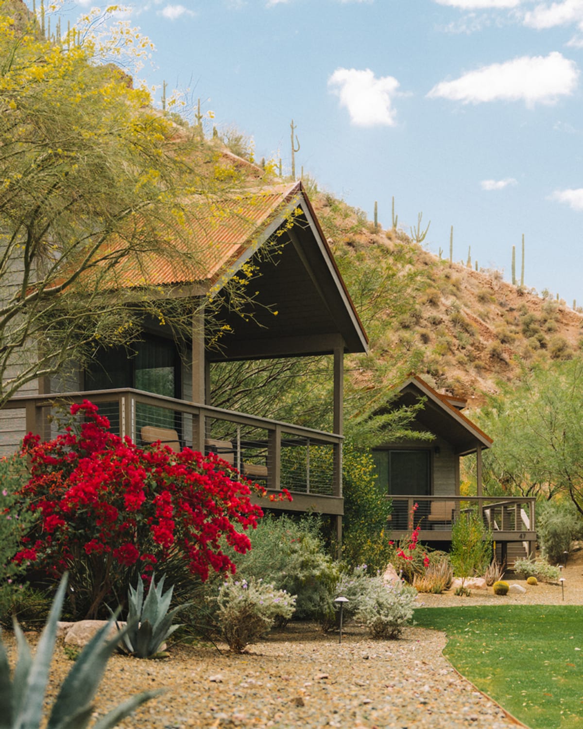 Desert cabin at an all-inclusive Arizona resort, framed by blooming red flowers.
