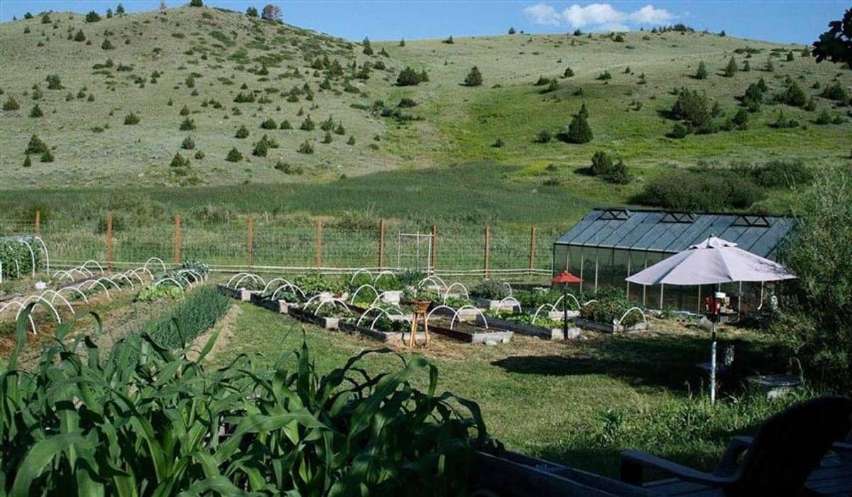 Norris Hot Springs: