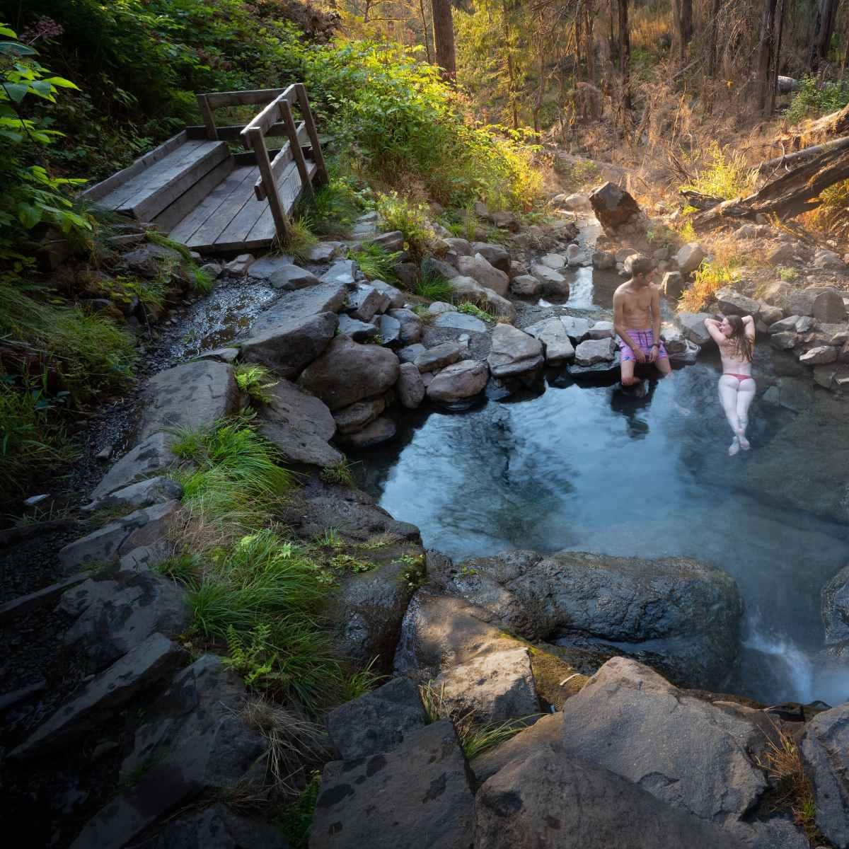 Terwilliger (Cougar) Hot Springs - hero photo