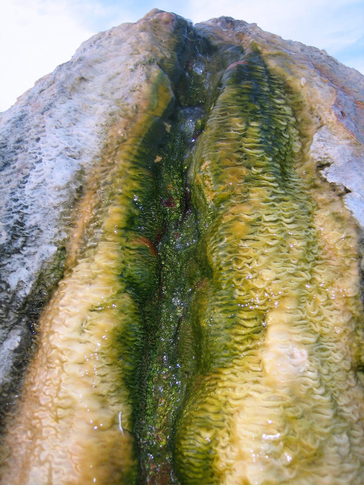 Travertine-mound Bridgeport CA front.jpg